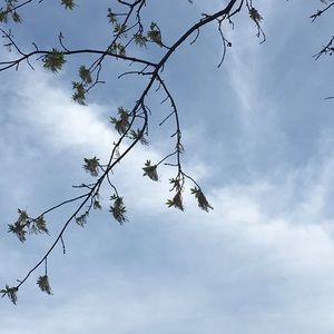 Meet your Posher, Mohaddaseh